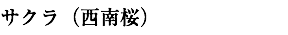 サクラ（西南桜）